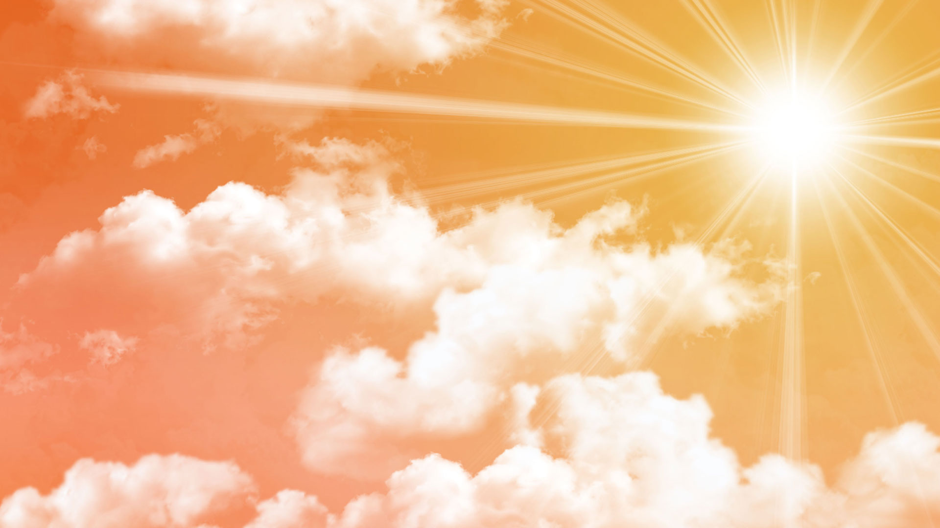 S.D.Seva-G.T. Tirupati / Ttd Devalayalu-GT Online