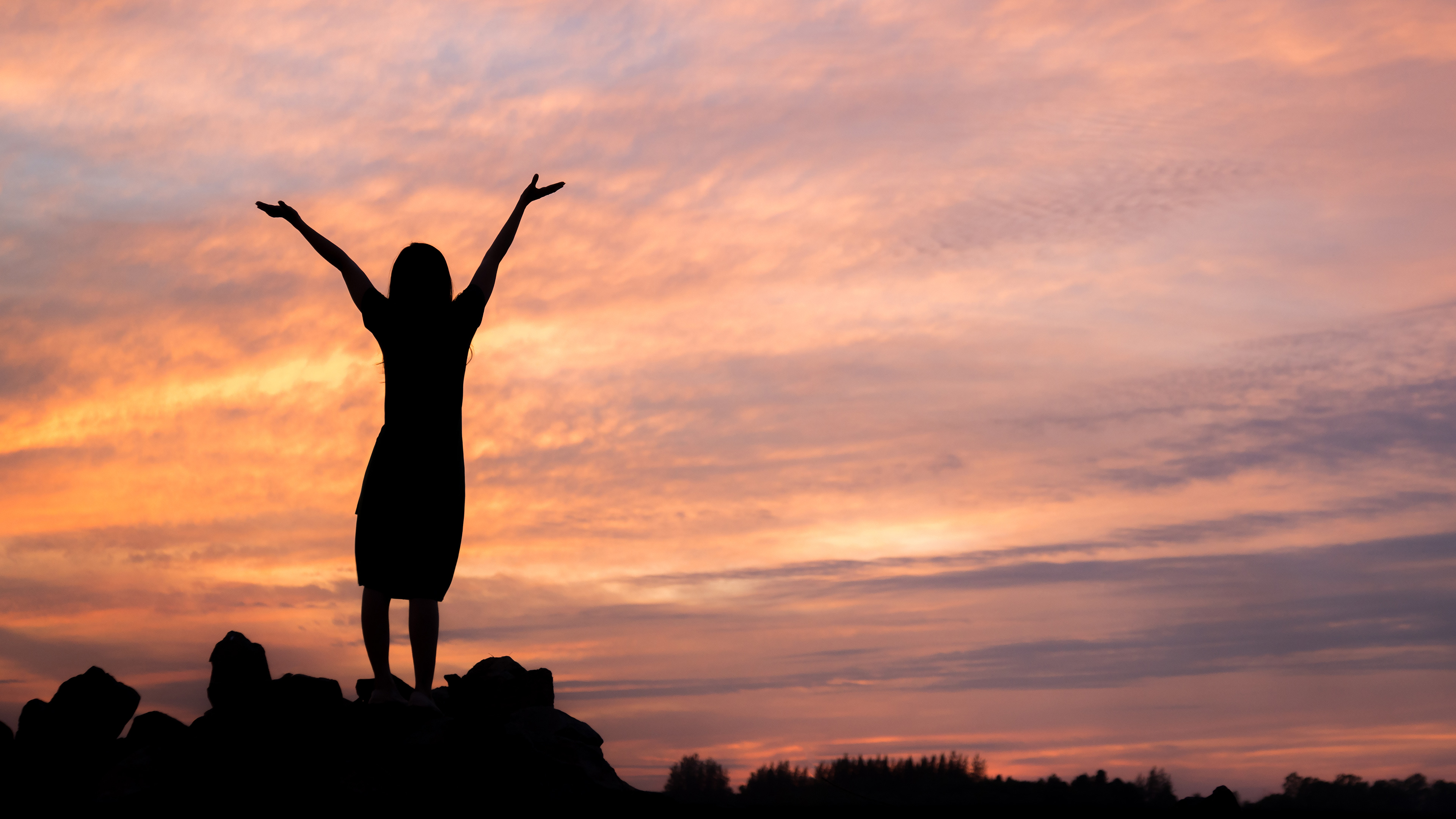 Sharonile Rose Online