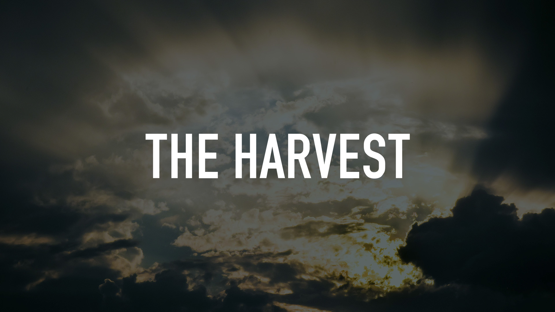 The Harvest